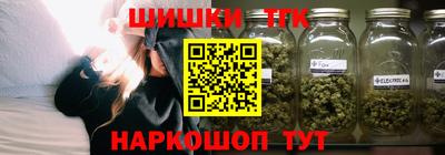 гашик Будённовск