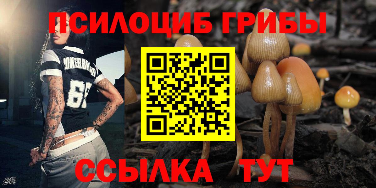 Псилоцибиновые грибы прущие грибы Рубцовск