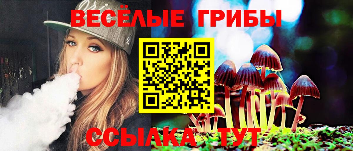 Псилоцибиновые грибы Cubensis  Псилоцибиновые грибы мухоморы  Рубцовск  купить наркотик  Вход с VPN 